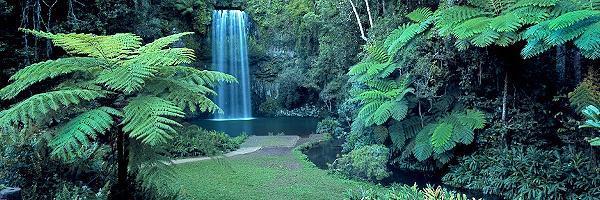 Millaa Millaa Falls
