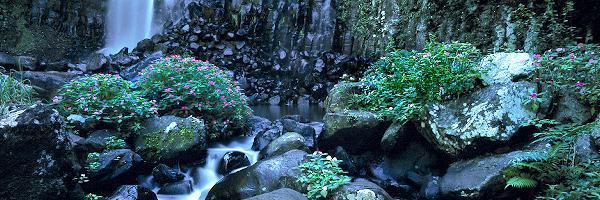 Cascading Gardens