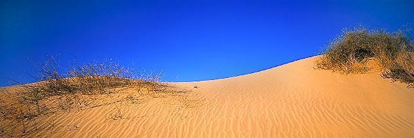 The Camel's Hump