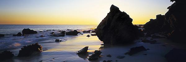 Pure Shores
