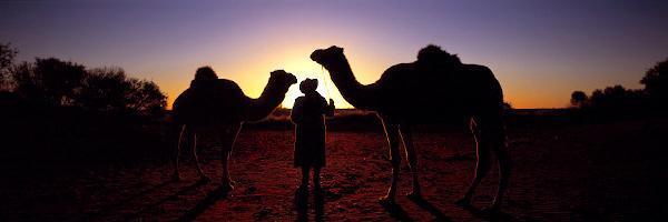 Red Desert Cameleer