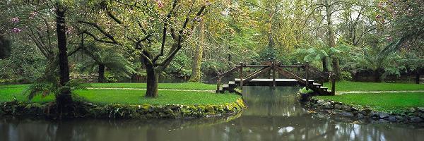 A Place of Solitude
