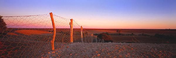The Dog Fence