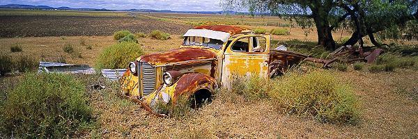 Out to Pasture