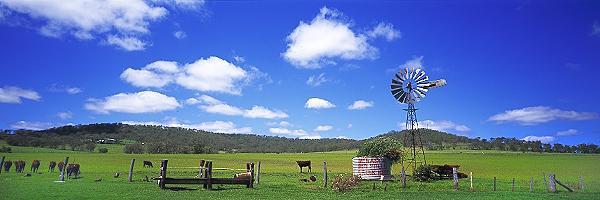 Mt. Rascal Red Polls