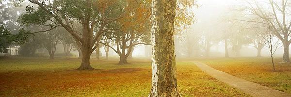 A Walk in the Park