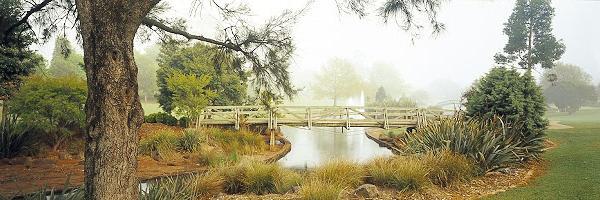 The Duckpond