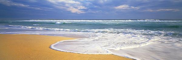 Whitewash