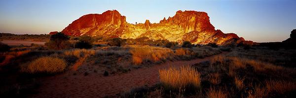 Desert Dazzle