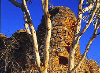 Bungle Bungles Bungle Bungles