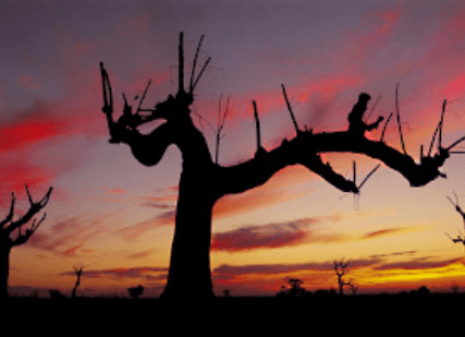 Coonabarabran