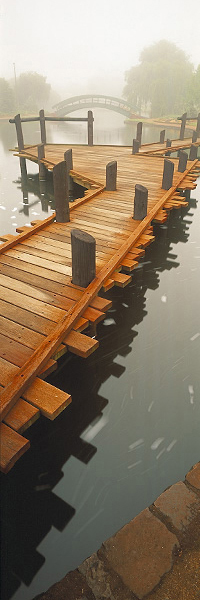 Bridge in the Mist